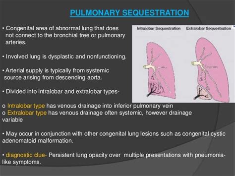 cpam vs bronchopulmonary sequestration.
